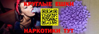 гашик Тула