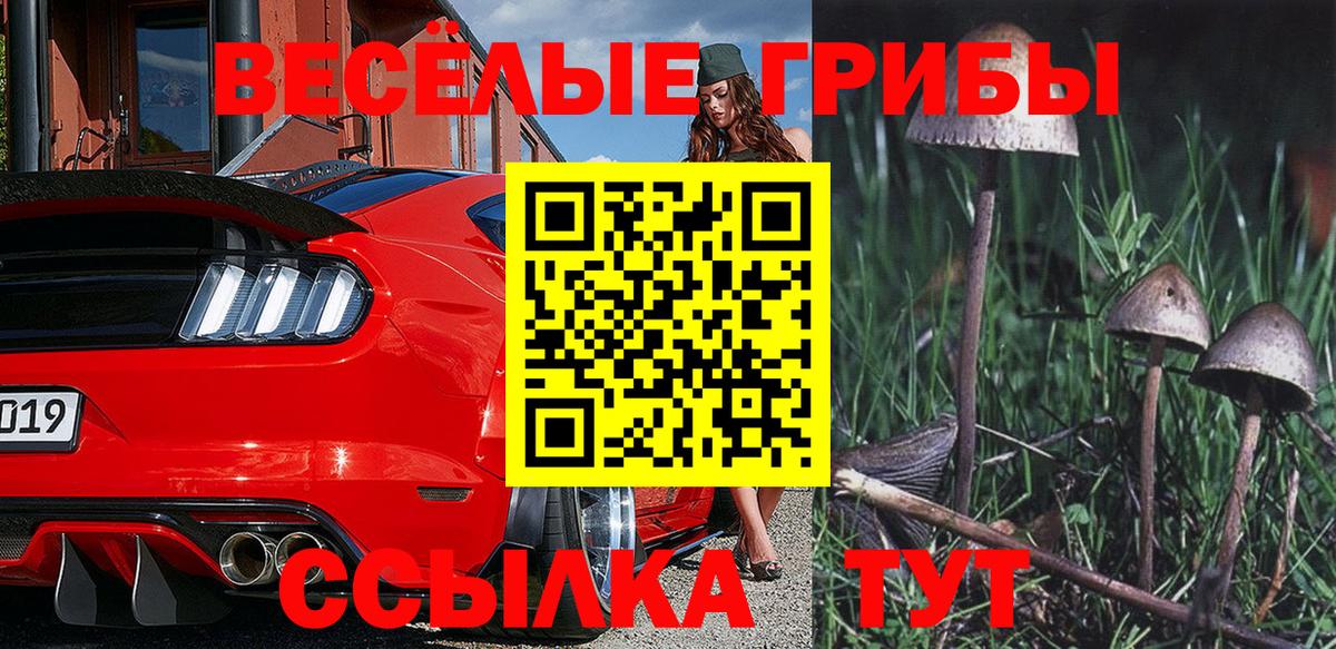 Галлюциногенные грибы Cubensis  Псилоцибиновые грибы мухоморы  где продают   Вичуга  Вход с VPN 